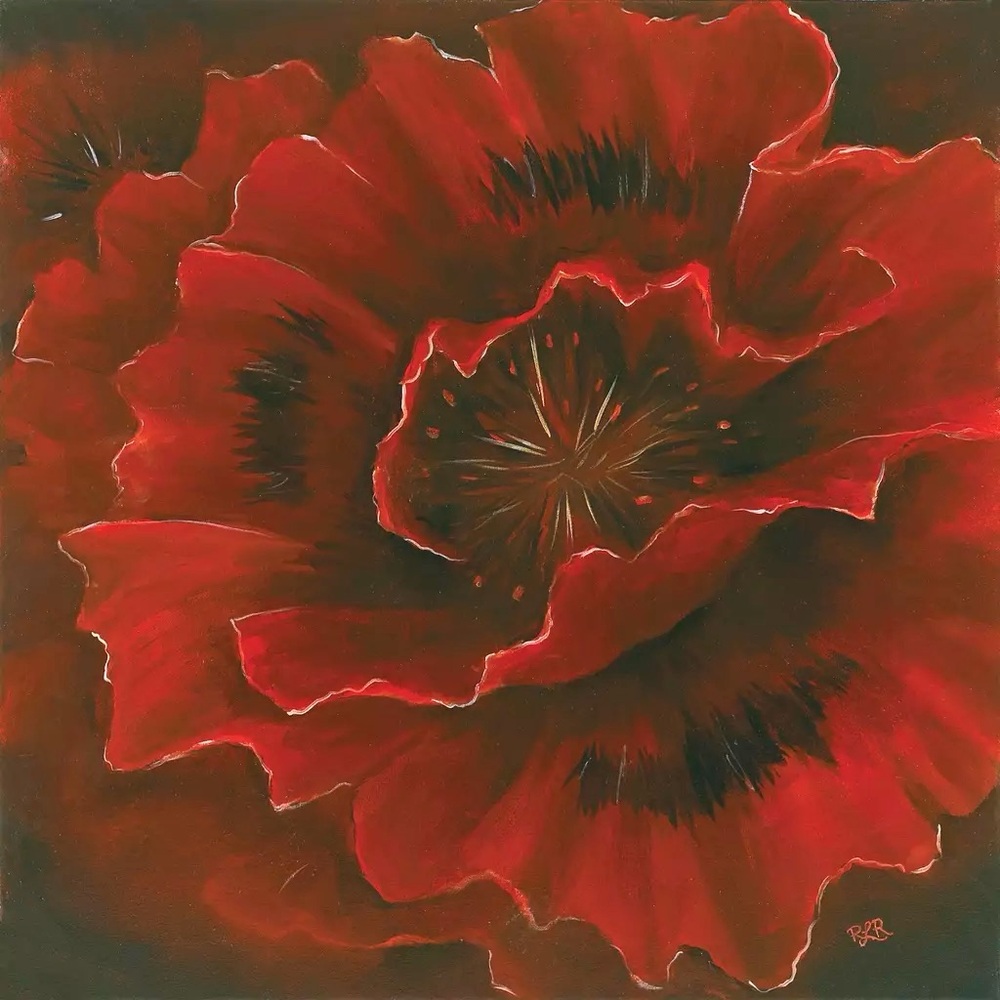 Tre Sorelle Studios Red Poppy II 22" x 22" Art Print with Black Frame